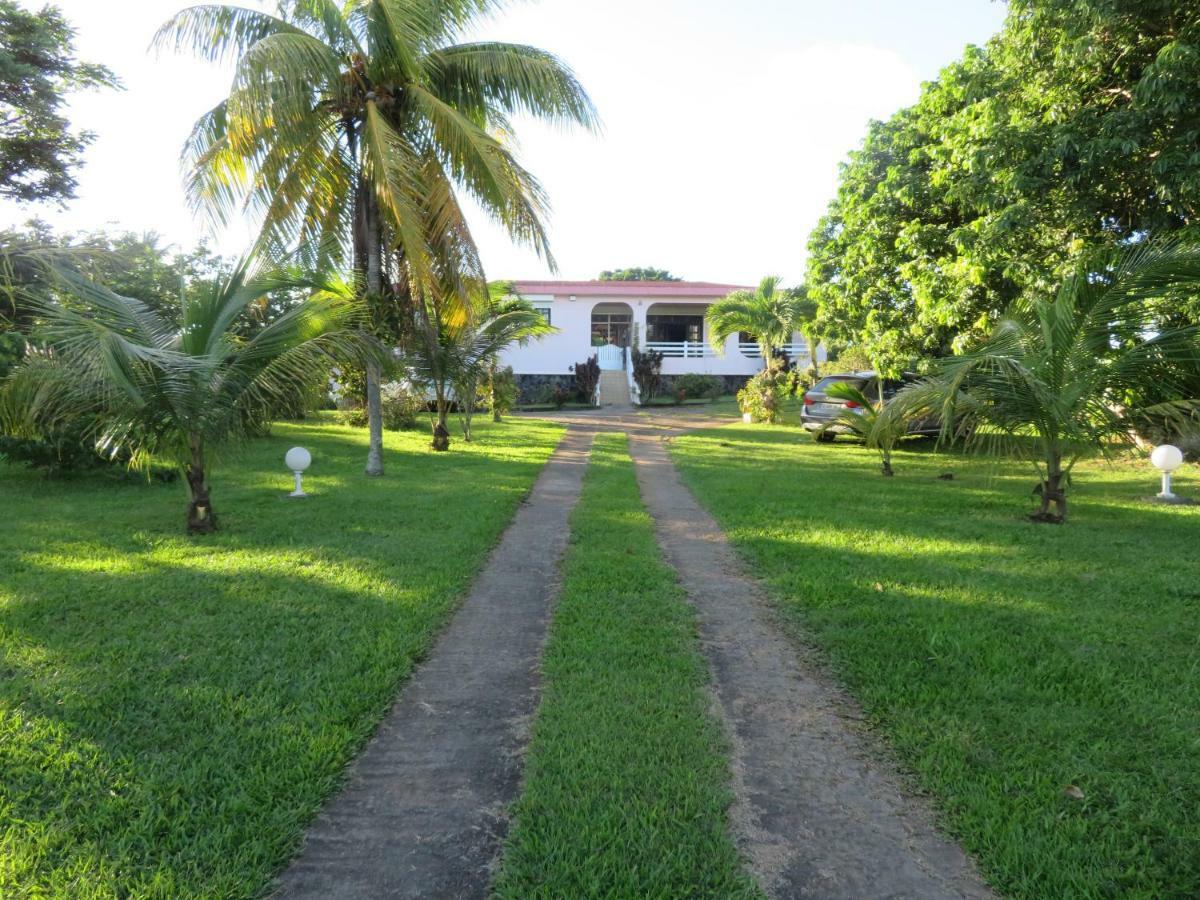 Ti Cajou Apartamento Baie-Mahault Exterior foto