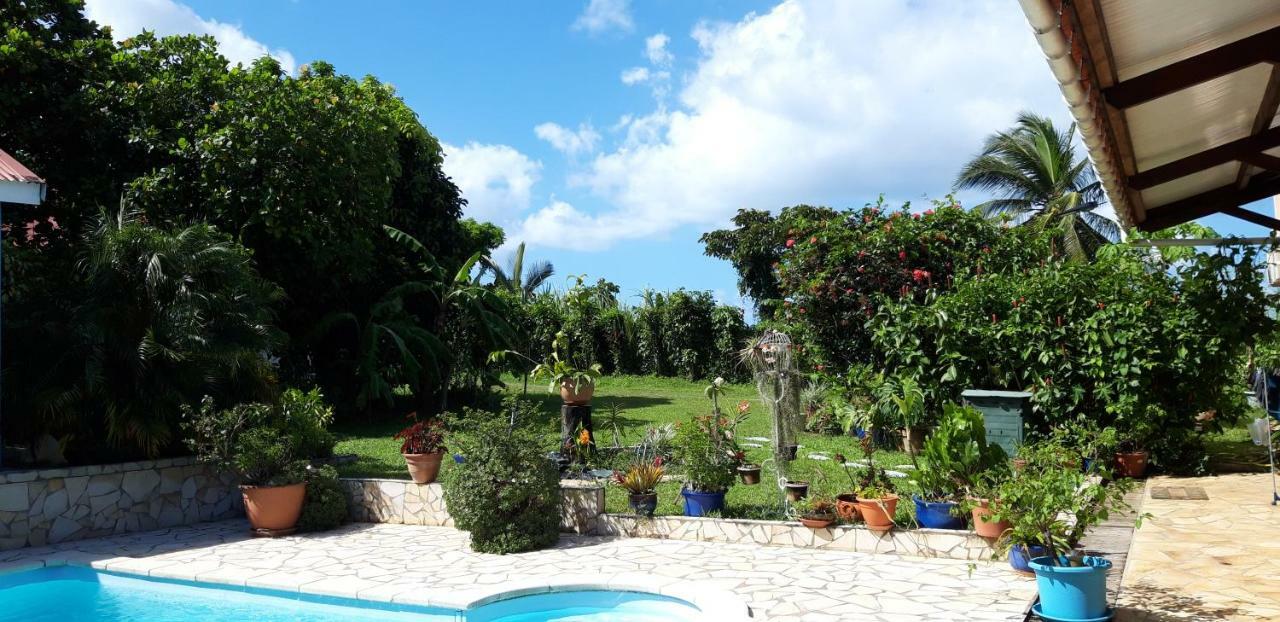 Ti Cajou Apartamento Baie-Mahault Exterior foto